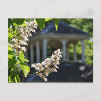 'Gazebo' Postcard