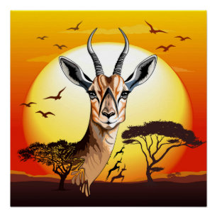 Gazelle African Antelope Wild  Animal Poster