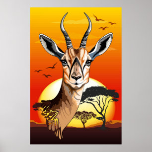 Gazelle African Antelope Wild  Animal Poster