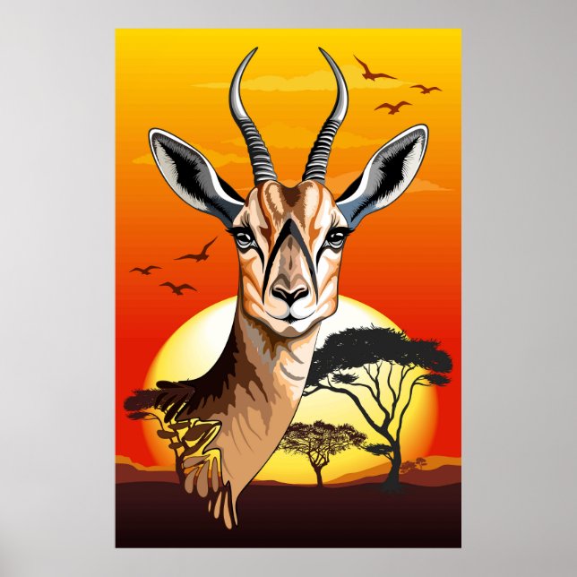Gazelle African Antelope Wild  Animal Poster (Front)