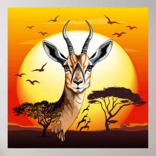 Gazelle African Antelope Wild  Animal Poster