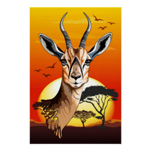 Gazelle African Antelope Wild  Animal Poster