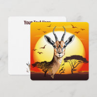 Gazelle African Antelope Wild  Animal