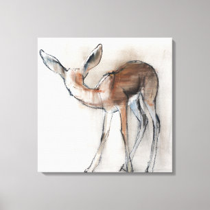 Gazelle Fawn Canvas Print