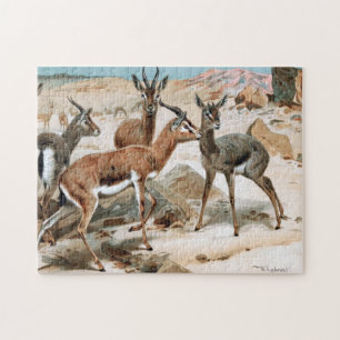 Gazelle Jigsaw Puzzle