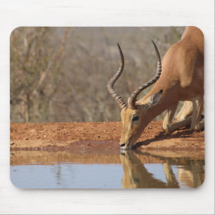 Gazelle Mouse Mat