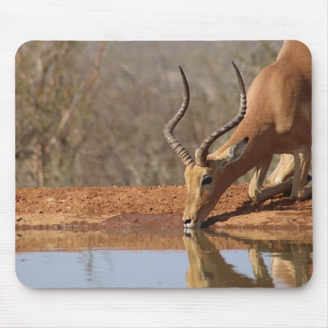 Gazelle Mouse Mat (Front)