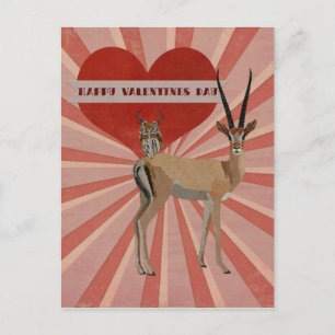 GAZELLE & OWL VALENTINE'S Postcard