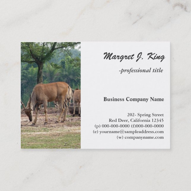 Gazelle, wild animal zoo,羚. business card (Back)