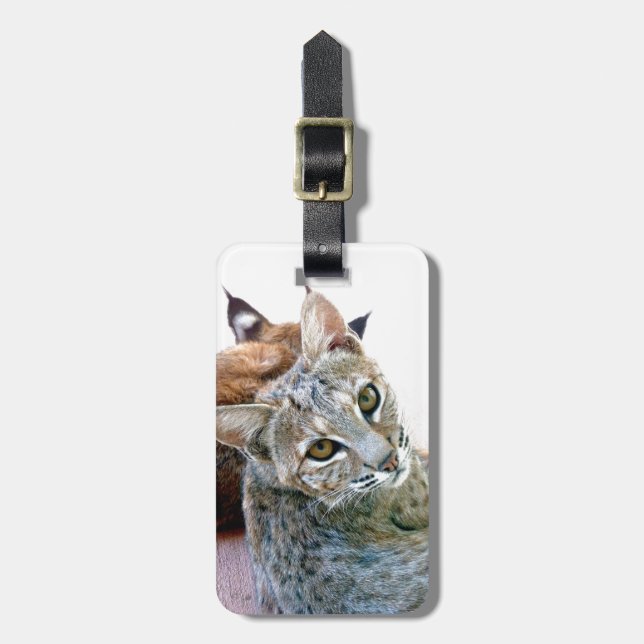 Gazely Stare | Bobcat Baggage Tag (Front Vertical)