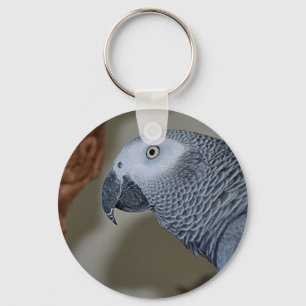 Gazing Congo African Grey Parrot Key Ring