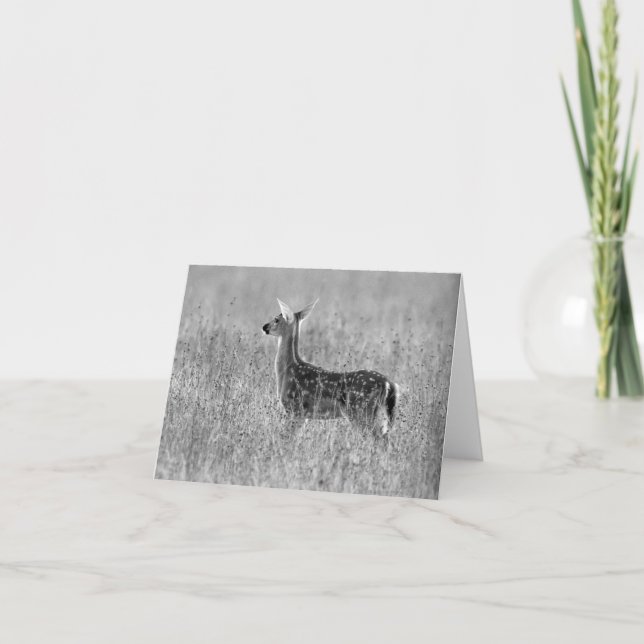 Gazing Fawn Card (Front)