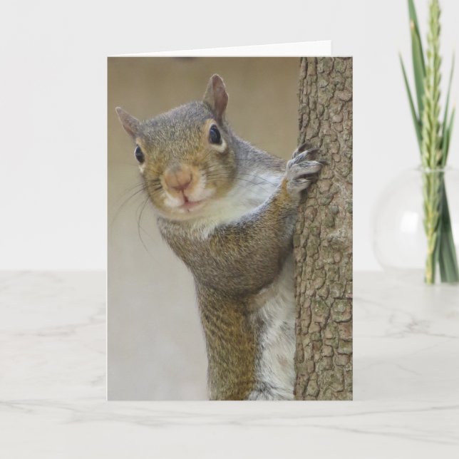 Gazing Squirrel Card (Front)