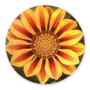Gazonia Flower Door Knob