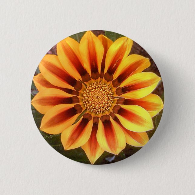 Gazonia Pin (Front)