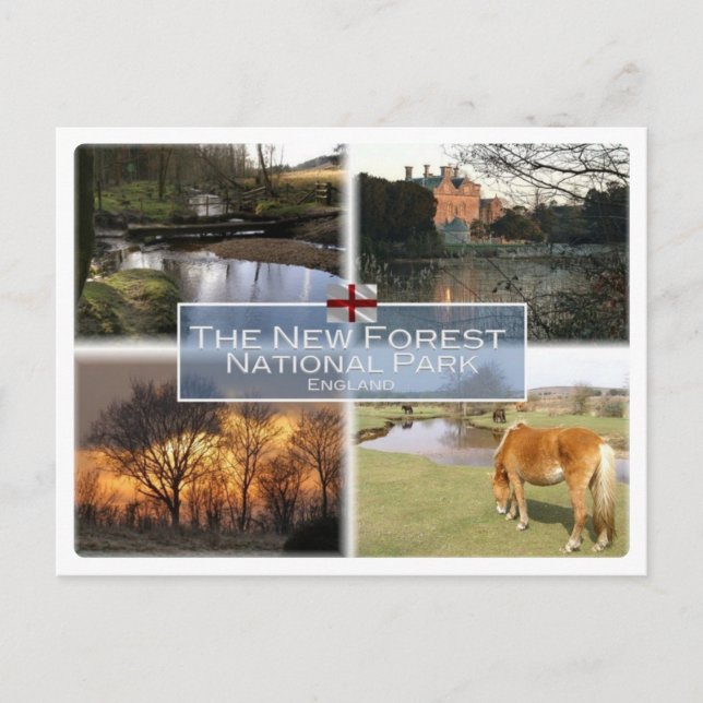 GB United Kingdom - England - New Forest N.P. - Postcard (Front)