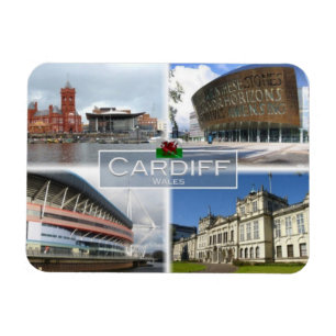 GB United Kingdom - Wales - Cardiff - Millenium - Magnet