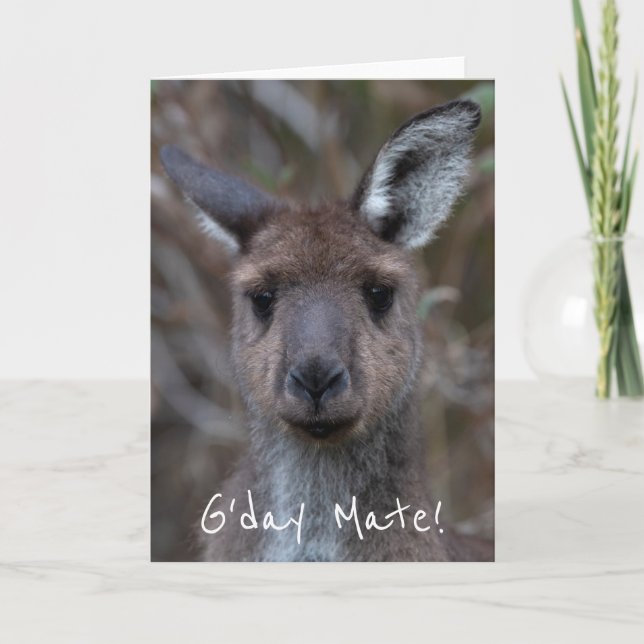 G'Day Mate Kangaroo Australia Card (Front)