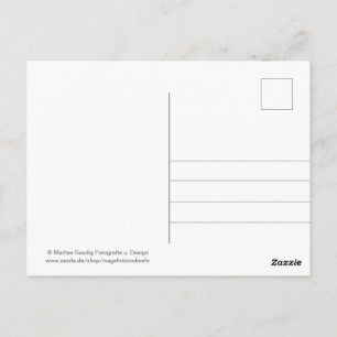 Geburtstags Schneckenpost Postcard