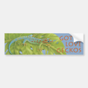 Gecko Bumper Sticker