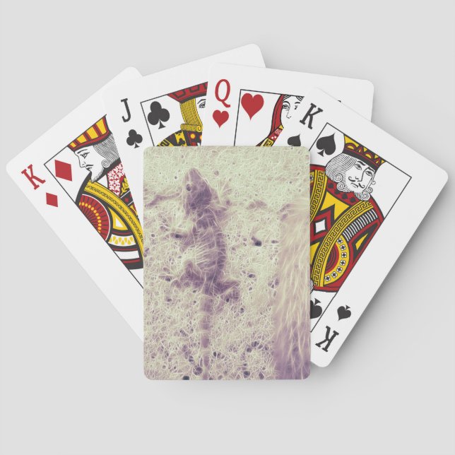 Gecko caught in a web playing cards (Back)