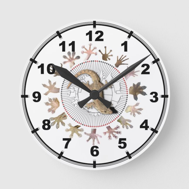 Gecko Clock (Front)