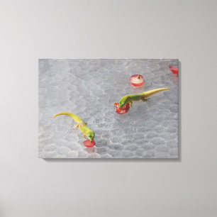Gecko cocktail hour two piece canvas set print