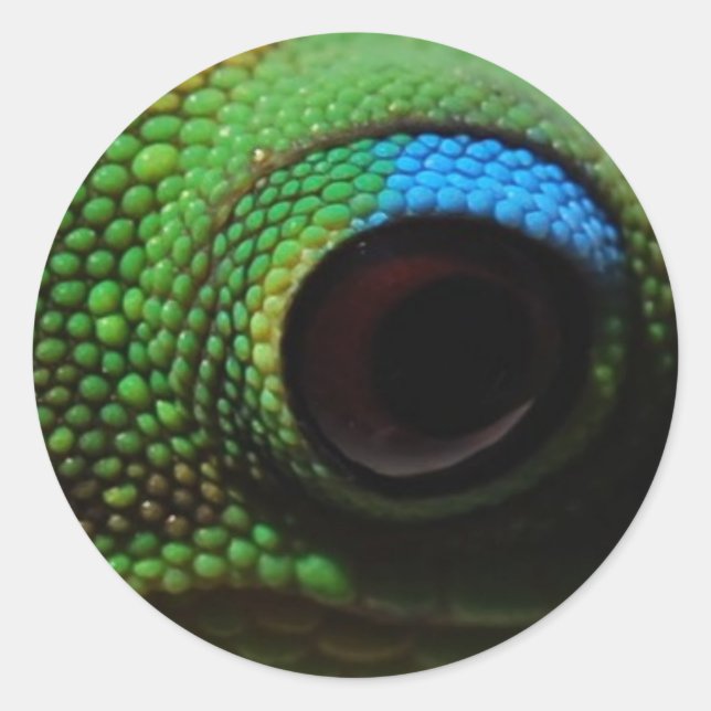 Gecko Eyeball Classic Round Sticker (Front)