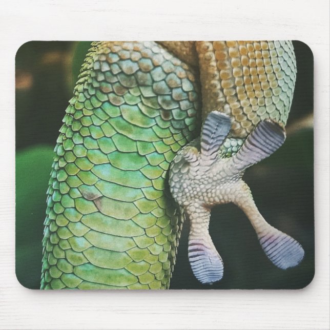 Gecko Feet Mouse Mat (Front)
