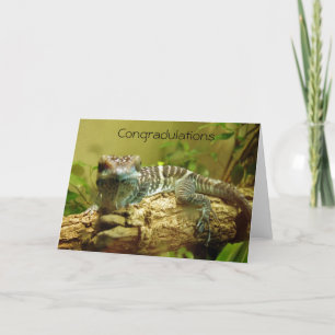 Gecko Graduation Card