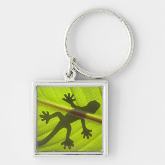 Gecko Key Ring (Front)