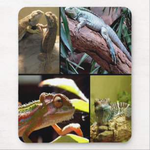 Gecko lizards and Chameleons Mouse Mat