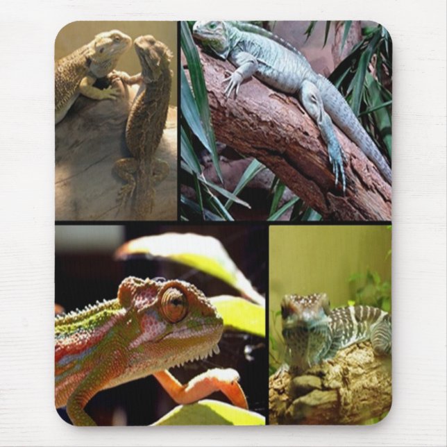 Gecko lizards and Chameleons Mouse Mat (Front)