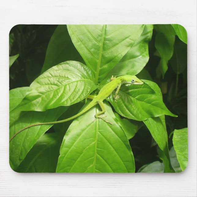 Gecko Mouse Mat (Front)