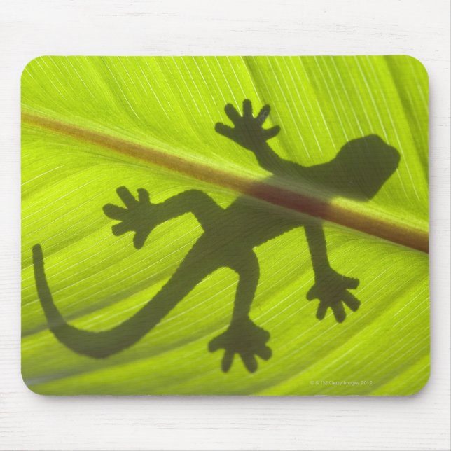 Gecko Mouse Mat (Front)