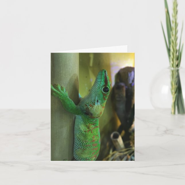gecko notecard #2 (encouragement) (Front)