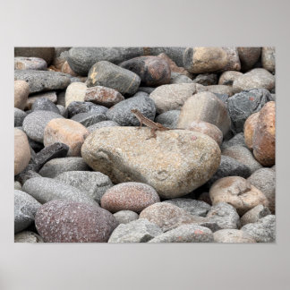 Gecko on the Rocks please Poster