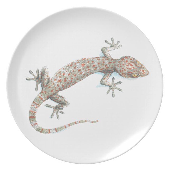 gecko plate (Front)