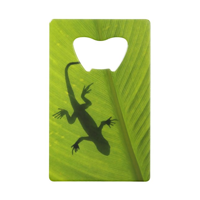 Gecko Silhouette (Front)