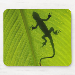 Gecko Silhouette Mouse Mat