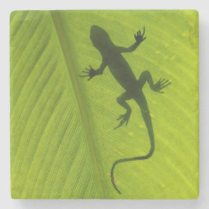 Gecko Silhouette Stone Coaster