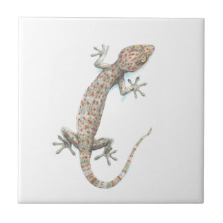 gecko tile