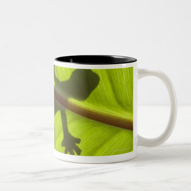 Gecko Two-Tone Coffee Mug (Right)