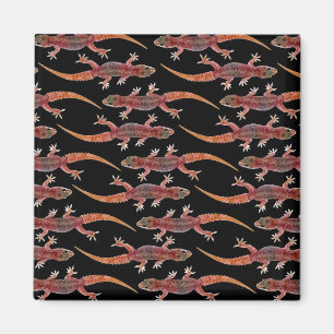 Geckos Magnet