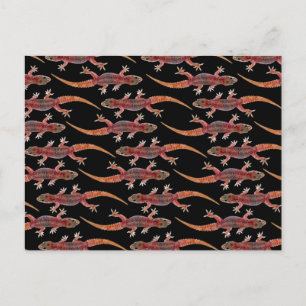 Geckos Postcard