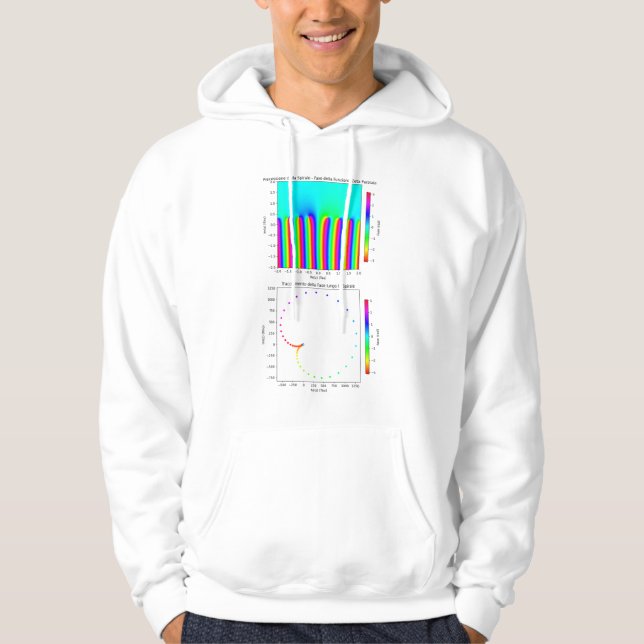 Geek Chic Hoodie – The Beauty of Zeta Functions (Front)