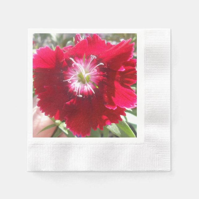 Geertje Napkin (Front)