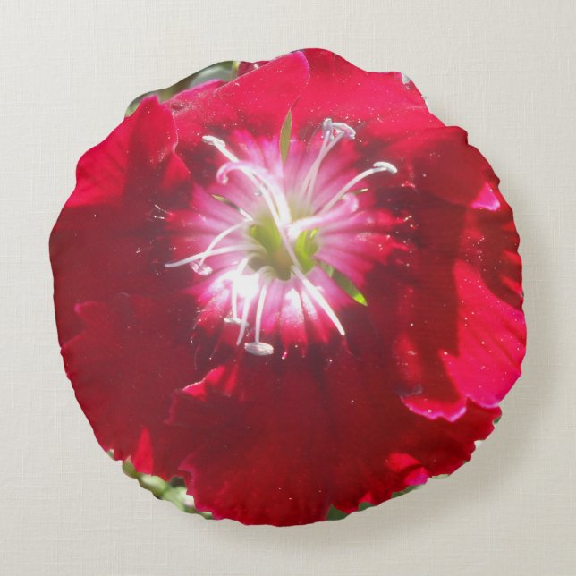 Geertje Round Cushion (Back)