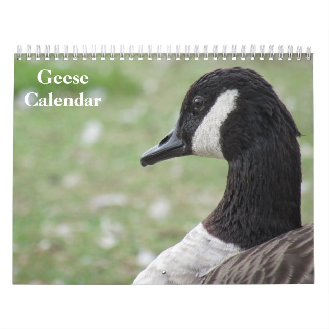 Geese 2026 calendar (Cover)