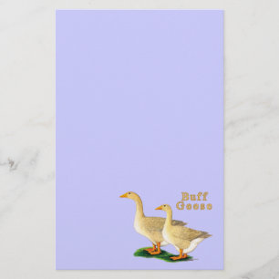 Geese: American Buffs Stationery